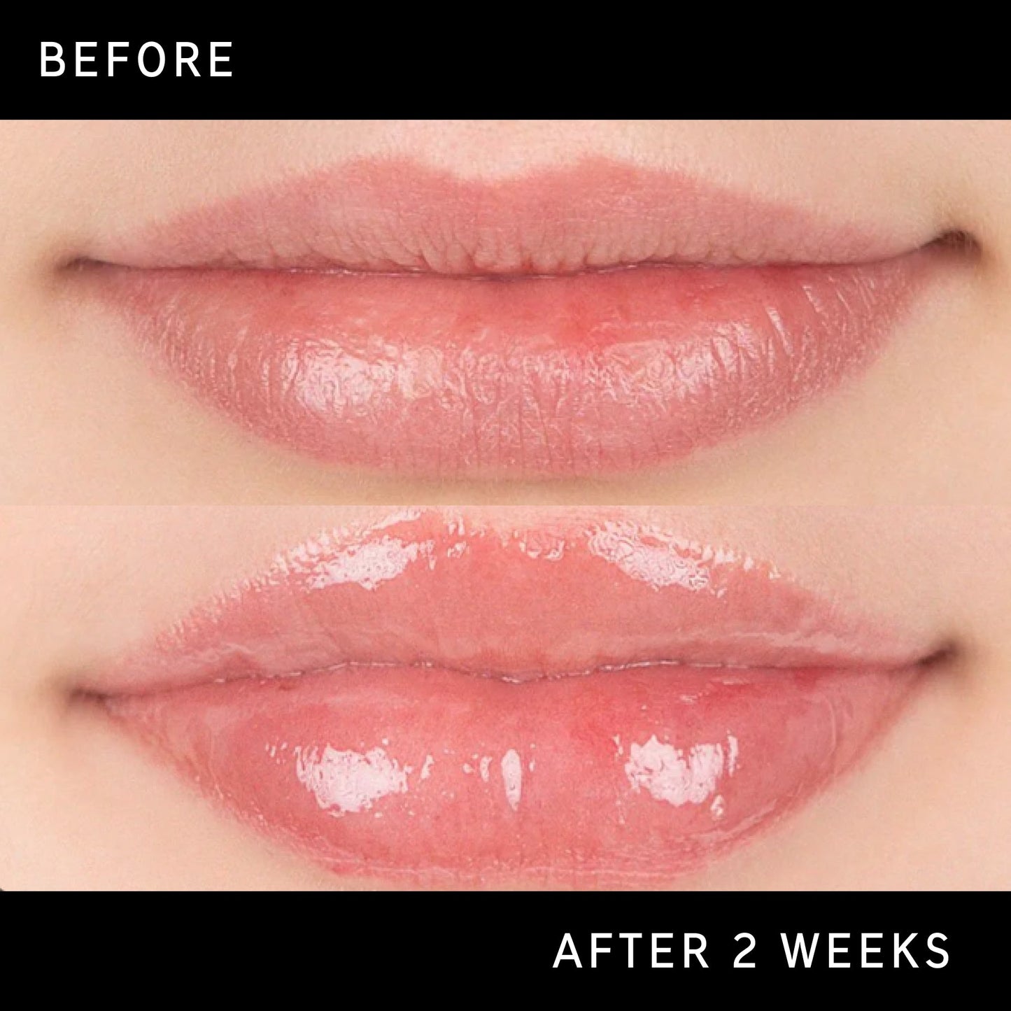 tripeptide-plumping-lip-balm-a3 DTC-Top15_Amends_Tripeptide-Lip_B_A.jpg